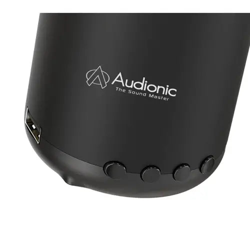 Close-up of a black Audionic portable speaker showing the side profile, USB-C charging port, control buttons, and the Audionic logo on a white background.